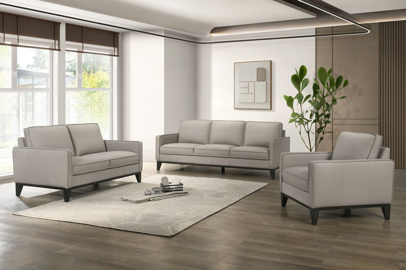 Aaron - Sofa - Mist Gray